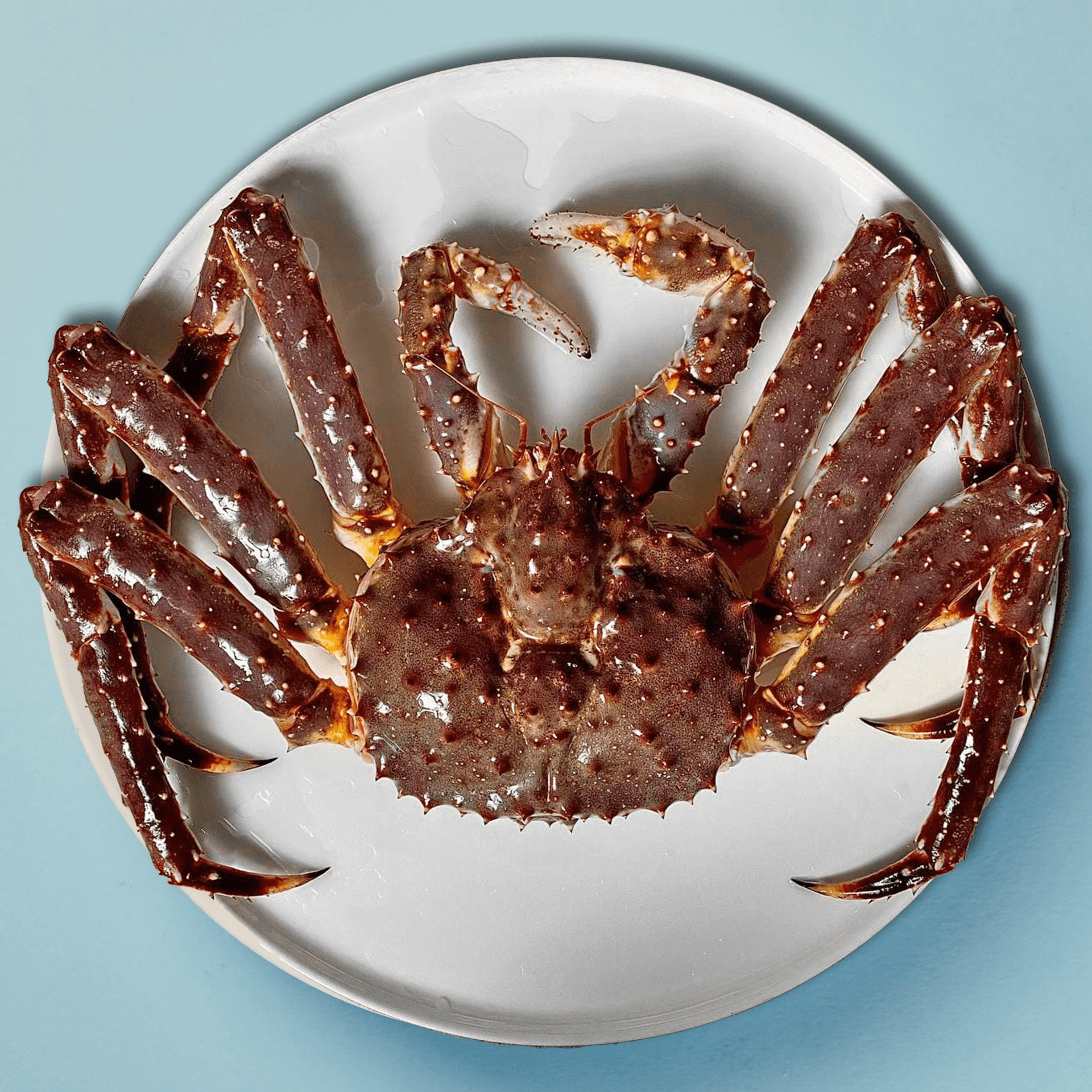 King crab 100g
