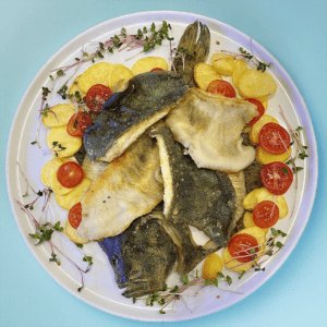 Plateau of four fish species 1,7kg